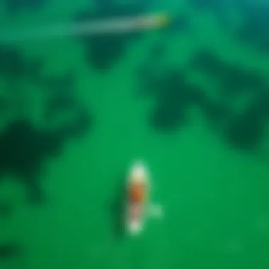 An aerial view of a paddleboarder navigating a crystal-clear bay