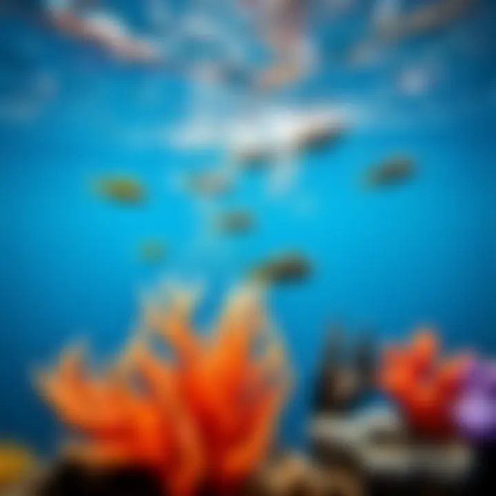 A breathtaking underwater scene showcasing vibrant marine life