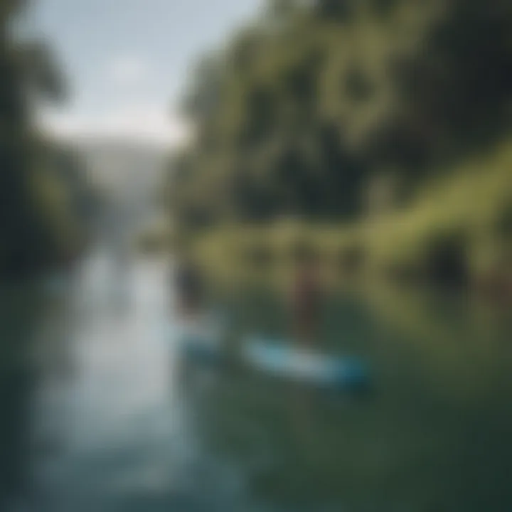 A diverse group of paddleboarders navigating through scenic routes.