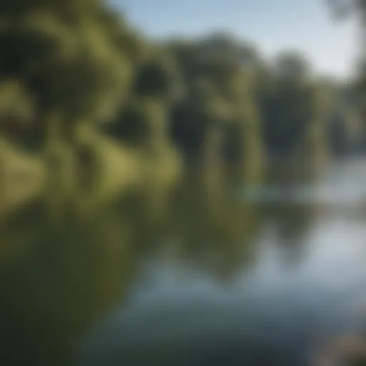 A stunning view of Lady Bird Lake with paddleboarders enjoying the water.