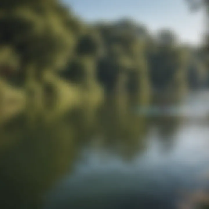 A stunning view of Lady Bird Lake with paddleboarders enjoying the water.