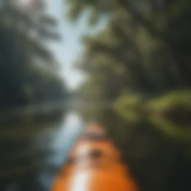 Kayaking in the tranquil waters of Salvo