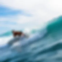 Exploring Surfing in Ventura: A Comprehensive Guide Introduction