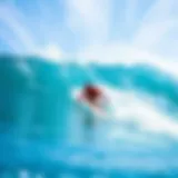 Exploring the Best Bodyboards: A Comprehensive Guide Introduction