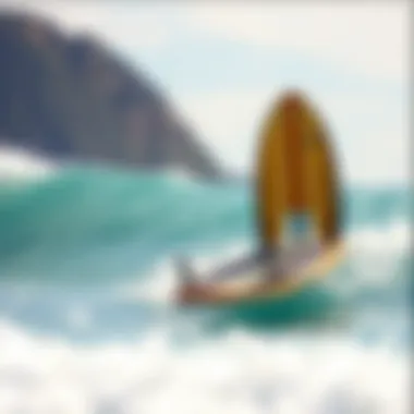 Notable Exploring the Best Bodyboards: A Comprehensive Guide Notable Exploring the Best Bodyboards: A Comprehensive Guide