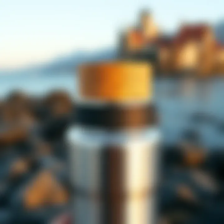 Notable Exploring the Corkcicle Lid for 24 oz: A Comprehensive Review