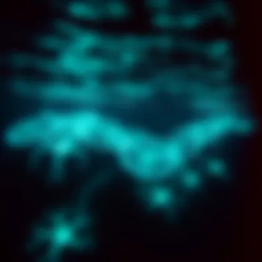 Mysteries of the Deep: Bioluminescence in the Ocean A breathtaking view of the ocean's depths showcasing bioluminescent creatures.