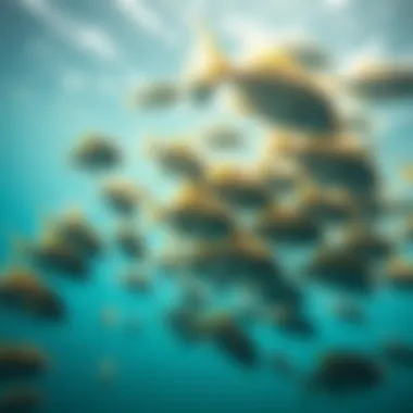 The Dance of Marine Life: Schools of Fish A school of fish swimming through crystal-clear waters.