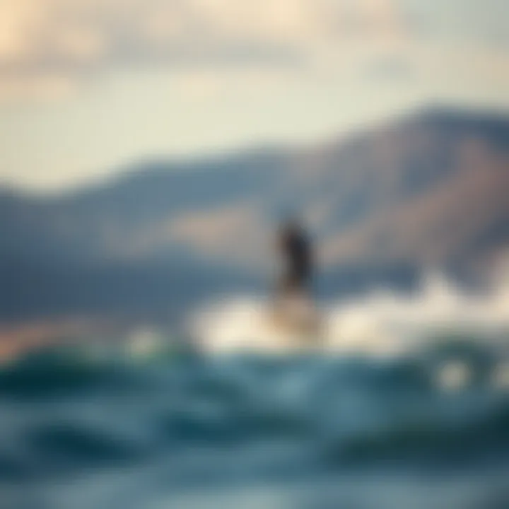 Notable Exploring the Dynamics of Efoiling: An In-Depth Insight