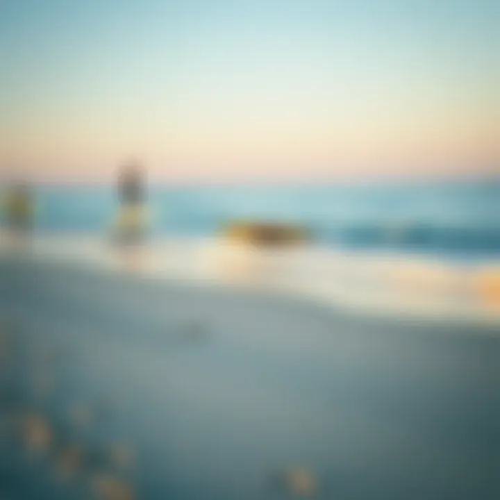 A serene beach scene with hydrofoil surfboards