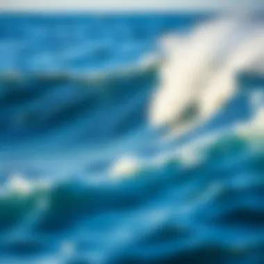 A scenic view of waves inspiring lifestyle choices