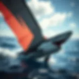 Exploring the Ocean Rodeo Wing: A Comprehensive Guide Introduction