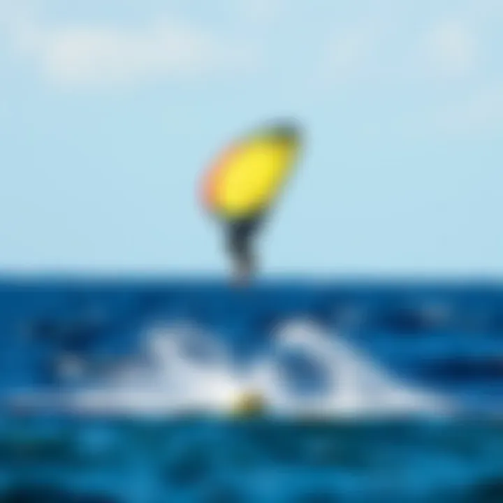 Notable Exploring the Ocean Rodeo Wing: A Comprehensive Guide