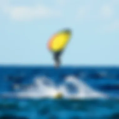 Notable Exploring the Ocean Rodeo Wing: A Comprehensive Guide Notable Exploring the Ocean Rodeo Wing: A Comprehensive Guide