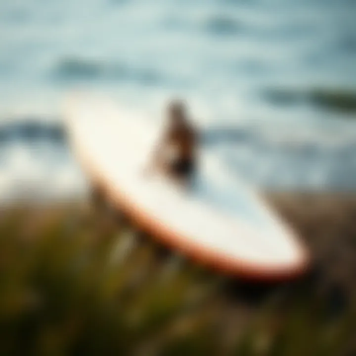 Overview of the Radinn surfboard construction and design