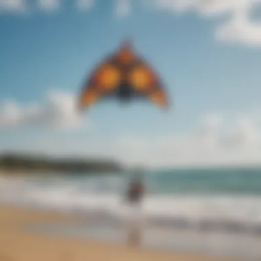 Sonic Kite in Action Sonic kite soaring through the waves