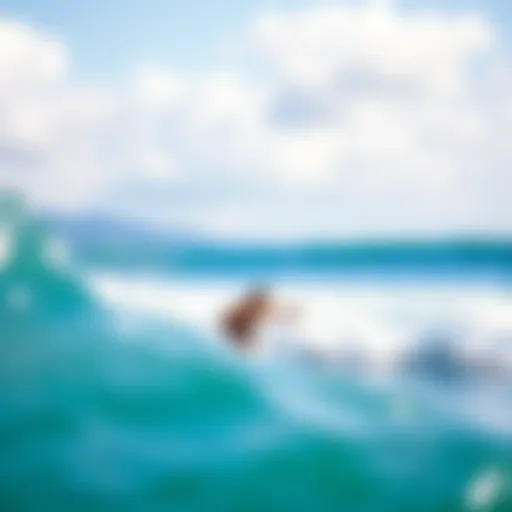 Exploring the Surf Scene in El Salvador Introduction