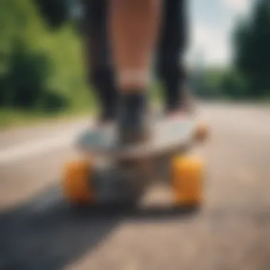 Essential longboarding gear displayed