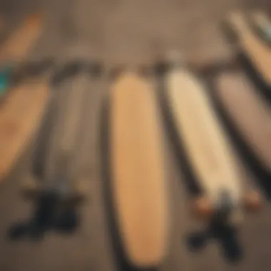 Different types of longboards lined up
