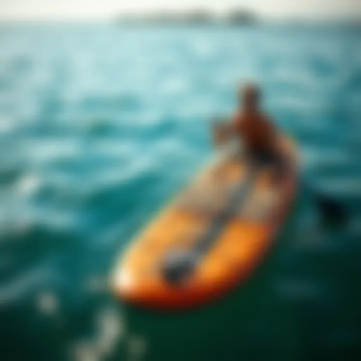 Notable Exploring the World of Small Paddleboards