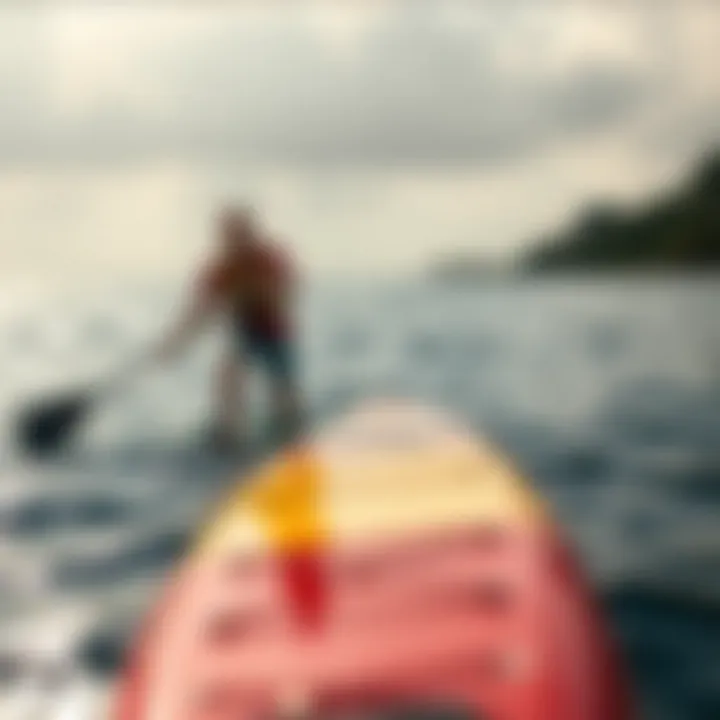 Exploring the World of Small Paddleboards Summary