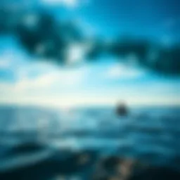 A serene ocean view demonstrating the calming effects of marine environments.