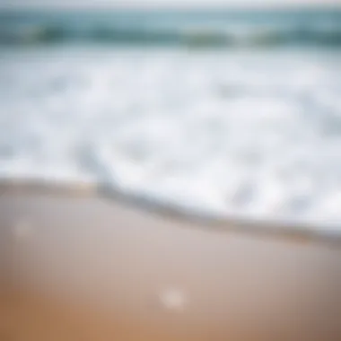 Natural Healing by the Shore A tranquil beach scene with waves gently lapping, symbolizing natural healing.