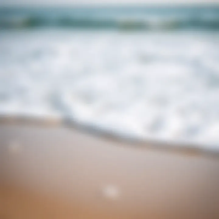 Natural Healing by the Shore A tranquil beach scene with waves gently lapping, symbolizing natural healing.