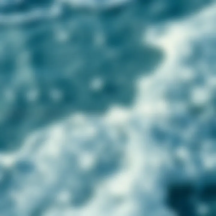 Mineral Richness of Ocean Water Close-up of ocean water with visible salt crystals highlighting mineral richness.