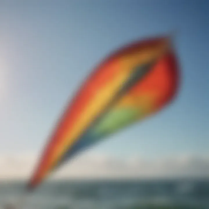 A detailed view of different types of travel kites
