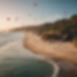 Vibrant travel kites soaring over a picturesque beach