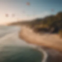 Vibrant travel kites soaring over a picturesque beach