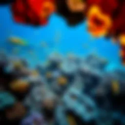 An intricate coral reef ecosystem teeming with diverse marine life