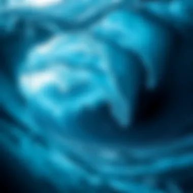 A dramatic oceanic current pattern illustrated in vivid colors