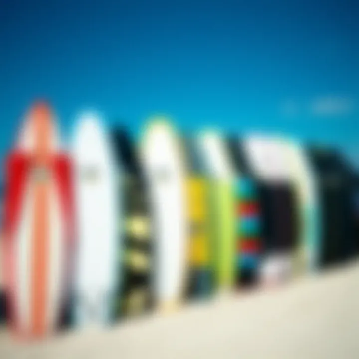 Different styles of boogie boards lined up