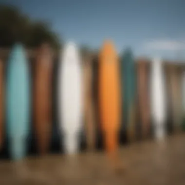 Variety of Hayden Surfboard models displayed