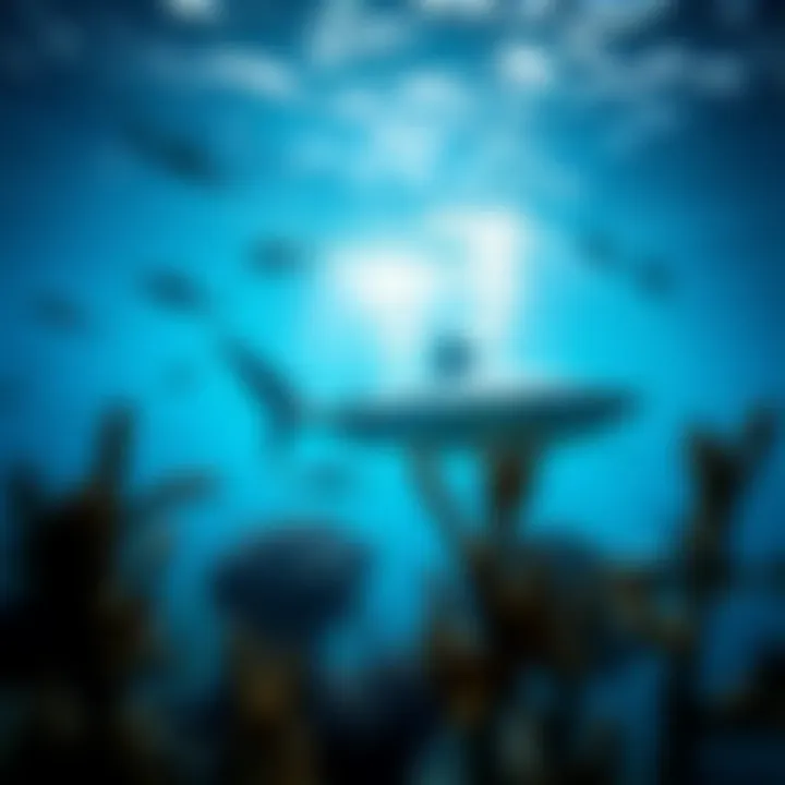A serene underwater habitat teeming with marine life, highlighting the ecosystem