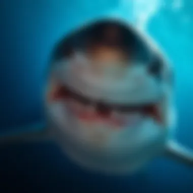 Notable Insights into Great White Sharks: Ten Compelling Facts