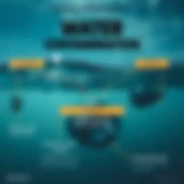 Sources and Effects of Water Contamination Infographic displaying sources of water contamination and their effects