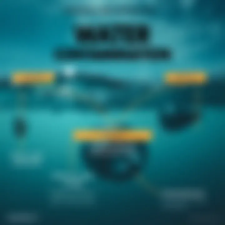 Sources and Effects of Water Contamination Infographic displaying sources of water contamination and their effects