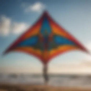 Showcasing Unique Kite Artwork A personalized kite design showcasing unique artwork