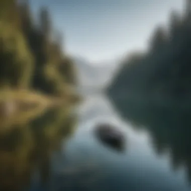 Tranquil Lake: Perfect for Boat Surfing A tranquil lake setting ideal for boat surfing