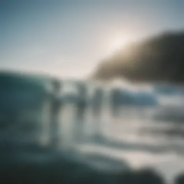 Group of surfers enjoying the ocean