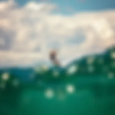 Vibrant kitesurfing action amidst coastal winds