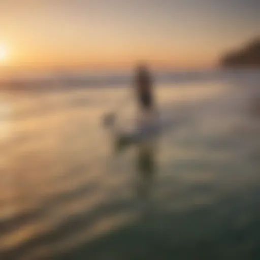 A tranquil beach scene featuring paddle surfers gliding on calm waters at sunset.