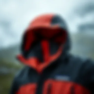 Eco-friendly Materials of the R3 Hooded Eco-friendly materials utilized in the Patagonia R3 Hooded