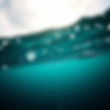 Understanding Ocean Pollution: Key Statistics Infographic on ocean pollution statistics