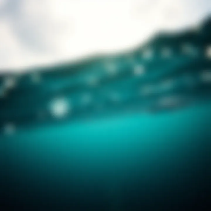 Understanding Ocean Pollution: Key Statistics Infographic on ocean pollution statistics