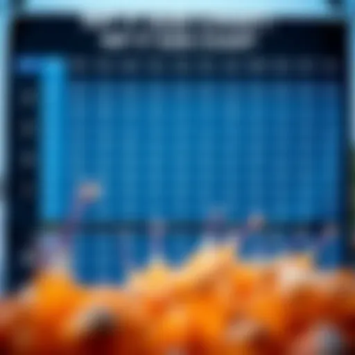 Visual representation of the Rip It size chart