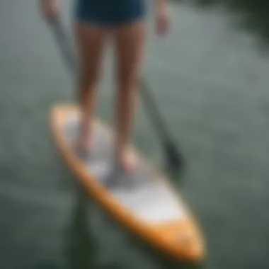 Different paddle sizes displayed for comparison